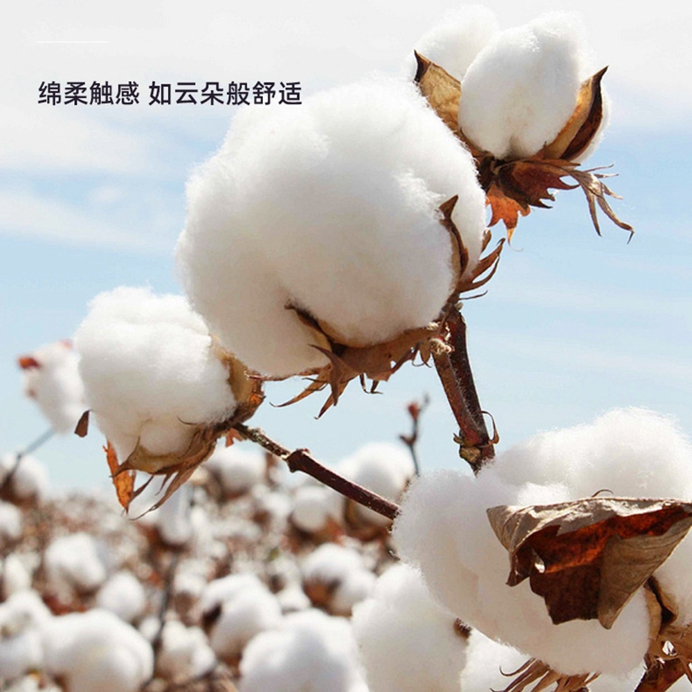 Pavio de bacon de algodão orgâ - Cotton Wick Organic avaliação e preço